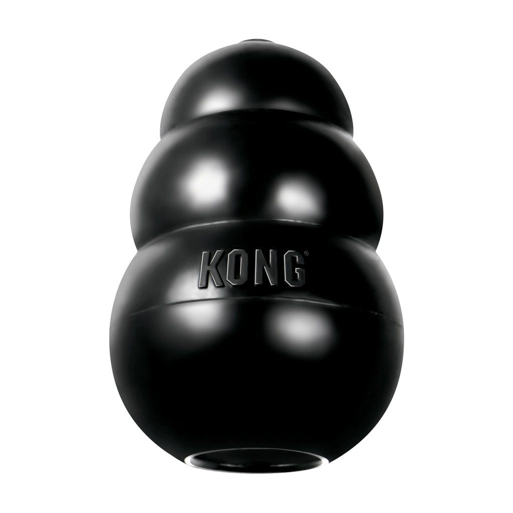 KONG® Extreme Dog Chew Toy